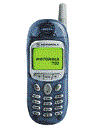 Best available price of Motorola T190 in Jordan