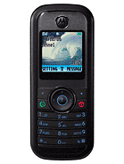 Best available price of Motorola W205 in Jordan