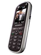 Best available price of Motorola WX288 in Jordan