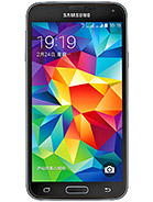 Best available price of Samsung Galaxy S5 Duos in Jordan
